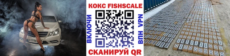 Купить закладки  Богородск  Cocaine FishScale 