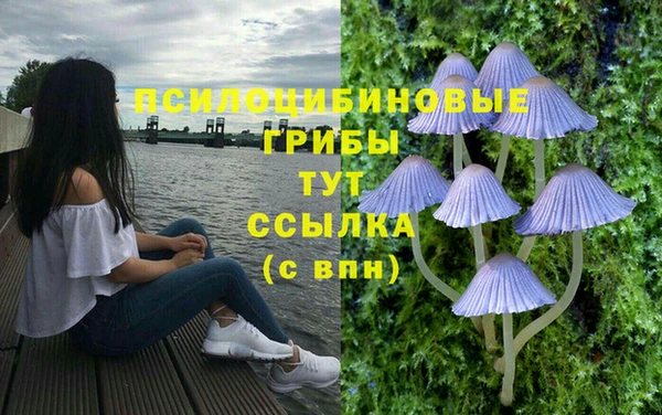 крисы Заволжск