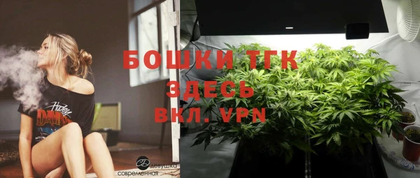 мет Заводоуковск