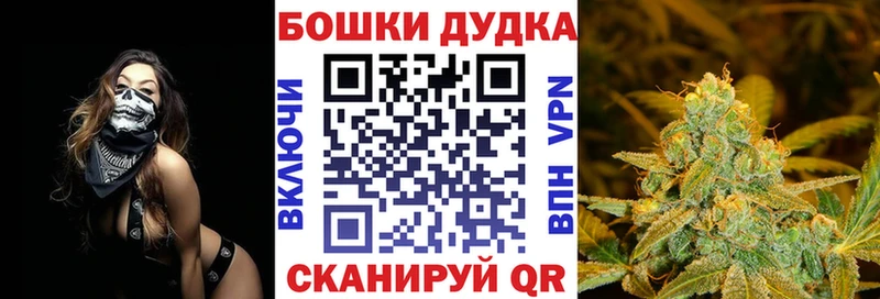 Купить  Богородск  Канабис Amnesia 
